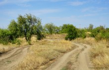 Ливенцовская крепость