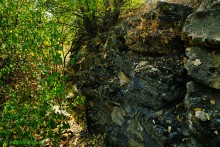 Ливенцовская крепость