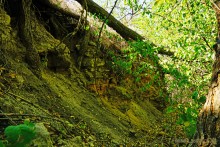 Ливенцовская крепость