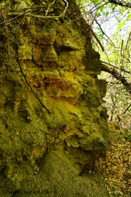 Ливенцовская крепость