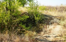 Ливенцовская крепость