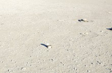 Костыль на Аксайской переправе