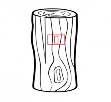 Костыль на Аксайской переправе