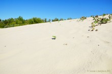 Стоговская коса