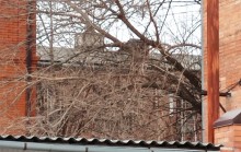 Ростовские гвоздильные заводы