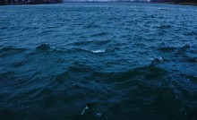 Февральская метель на берегу Дона