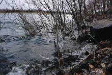 Февральская метель на берегу Дона