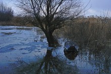 Февральская метель на берегу Дона