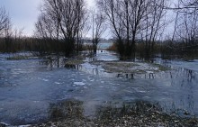 Февральская метель на берегу Дона