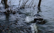 Февральская метель на берегу Дона