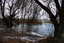 Февральская метель на берегу Дона