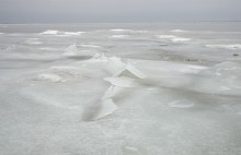 Песчаные сосульки на берегу Таганрогского залива во время ветрового нагона воды