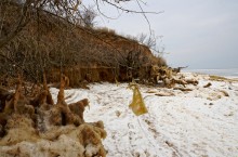 Песчаные сосульки на берегу Таганрогского залива во время ветрового нагона воды