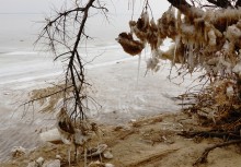 Песчаные сосульки на берегу Таганрогского залива во время ветрового нагона воды
