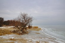 Песчаные сосульки на берегу Таганрогского залива во время ветрового нагона воды