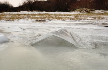 Песчаные сосульки на берегу Таганрогского залива во время ветрового нагона воды