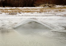 Песчаные сосульки на берегу Таганрогского залива во время ветрового нагона воды