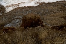 Трансгрессии и регрессии Азовского моря