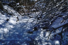 Весна в Змиёвой балке Большого Лога 