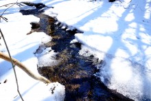 Весна в Змиёвой балке Большого Лога 