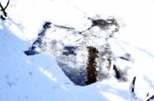 Весна в Змиёвой балке Большого Лога 