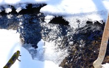 Весна в Змиёвой балке Большого Лога 