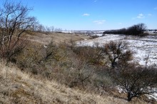 Весна в Змиёвой балке Большого Лога 