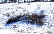 Весна в Змиёвой балке Большого Лога 