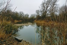 Пересечение протока Аксай и тёплого канала у станицы Бессергеневской