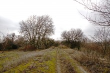 Пересечение протока Аксай и тёплого канала у станицы Бессергеневской