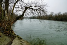 Пересечение протока Аксай и тёплого канала у станицы Бессергеневской