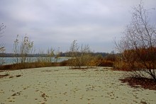 Пластиковый мусор