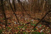 Пластиковый мусор