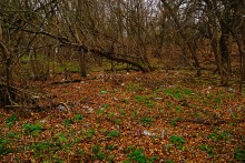 Пластиковый мусор