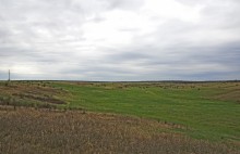 Хмурая весна 2021