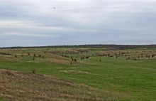 Хмурая весна 2021