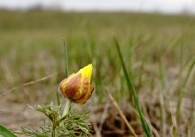 Хмурая весна 2021