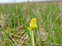 Хмурая весна 2021