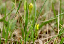 Хмурая весна 2021