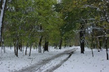 События на нижнем Дону в 1917-18 годах. Митрофан Петрович Богаевски