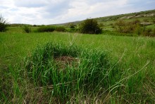 Весна в балке Обрывской