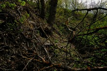 Весна в балке Обрывской