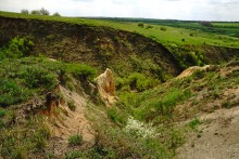 Выходы мергеля в балке Обрывской