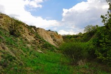 Выходы мергеля в балке Обрывской