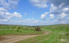 Весна в балке Обрывской