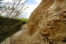 Выходы мергеля в балке Обрывской