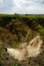 Выходы мергеля в балке Обрывской