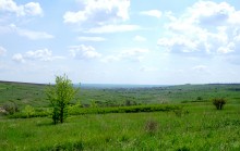 Весна в балке Обрывской
