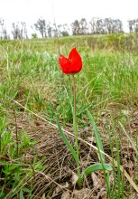 Весна в балке Обрывской