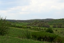 Весна в балке Обрывской